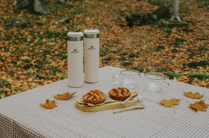 When Your Water Bottle Becomes Your Entire Personality: The Stanley Cup Identity Crisis